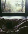 d84350a9d13743fb672c80cc1f712892.jpg