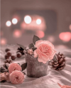 ٢٠٢١١١١٢_٠١٥٨٠٠.png