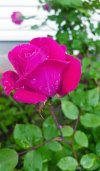 FB_IMG_1637255097366.jpg
