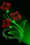 FB_IMG_1637173280918.jpg
