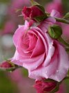 FB_IMG_1637254362290.jpg