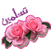 9396aede8ac49785a12a306048c38881.gif