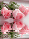 beautifulr_h0CSEULE.gif