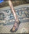 IMG_٢٠٢١١١٢٦_١٨٥٧٠٧.jpg IMG_٢٠٢١١١٢٦_١٨٥٧٠٧.jpg