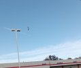 IMG_20211127_140850~2.jpg