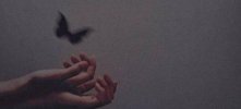 IMG_20211129_113422_451.jpg