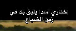 IMG_٢٠٢١٠٩٢٠_٢٠٢٥١٤.jpg