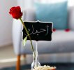 ٢٠٢١١١٢٩_٠٠٥٢٤٩.jpg