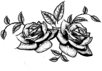 2062A475-0401-4189-B742-FFA52D932F5D.png