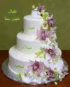 ميلاد3.jpg
