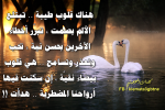 صور-حكم-عن-الحياة-3-450x300.png