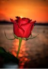 IMG_٢٠٢١٠٩١٦_١١٠٤٣٢.jpg