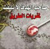 ٢٠٢١١٢١٢_٢٢٠٨٤١.jpg