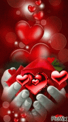 shof_579522fd3fe4853.gif