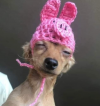 1639768924783.png