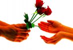 love-flowers-red-hand-wallpaper.jpg