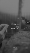 1640475446832.png