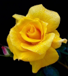 1640516756684.png