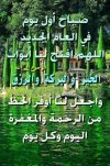 received_202427765426488.jpeg