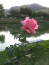 FB_IMG_1636332279255.jpg