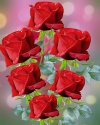 FB_IMG_1637064998692.jpg