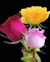 FB_IMG_1637158353339.jpg
