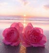 IMG_٢٠٢٢٠١٠١_١٦١٢٠٤.jpg