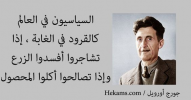 1641077611692.png