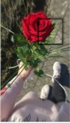 IMG_٢٠٢١٠٧١٣_١٧٠٢٥٦.jpg