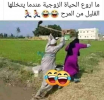 1641404321895.png