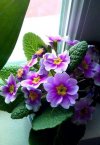 IMG-20211227-WA0002.jpg