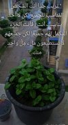 IMG_٢٠٢٢٠١٠٩_٠١٠٢٥٦.jpg