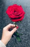 IMG_٢٠٢٢٠١٠٥_١١١١٤٣.jpg IMG_٢٠٢٢٠١٠٥_١١١١٤٣.jpg