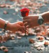 IMG_٢٠٢٢٠١٠٥_١١١٠٤٢.jpg