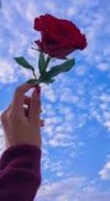IMG_٢٠٢٢٠١٠٥_١١١٢٥٢.jpg