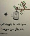 IMG_٢٠٢٢٠١٠٩_٠١٠٣١٧.jpg