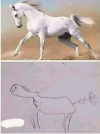 1641855236783.png