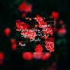 احلى-عبارات-في-الحب-1.jpg