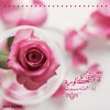 احلى-عبارات-حب.jpg