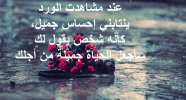 خواطر-عبارات-كلمات-كلام-حب-رومانسية-عن-الورد-جمال-الورد-وصف-الورد-حب-الورد-4.jpg