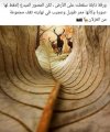 ٢٠٢٢٠١٢٠_١٥٤٣٥٠.jpg