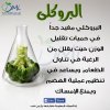 FFF9A7EF-34DC-4CCC-A167-AF07F75F3EA1.jpeg