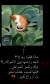 IMG_٢٠٢٢٠١٢٣_١١١٣٤٦.jpg