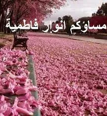 روي عن أمير المؤمنين عليه السلام... - الأمام علي رمز الشجاعة | Facebook