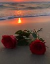 IMG_٢٠٢٢٠١٠١_١٦١١٣١.jpg