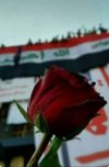 ٢٠٢٢٠١١٩_٢١٤٢٤٨.jpg