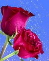 IMG_20220128_102357_245.jpg