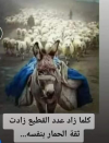 1643478138419.png