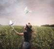 dom-girl-pigeons-wallpaper-preview.jpg