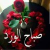 IMG-20220125-WA0003.jpg
